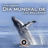 19 de febrero, Día mundial de las ballenas